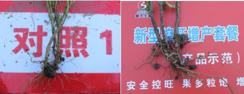 QQ截圖20221014191023.jpg QQ截圖20221014191023.jpg